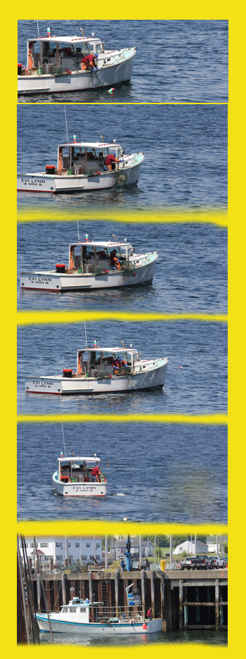 A lobsterman pulls in his catch, selects the keepers, and returns the trap to the Somes Sound.  The bottom shot is of a boat being unloaded at Eastport two days earlier.