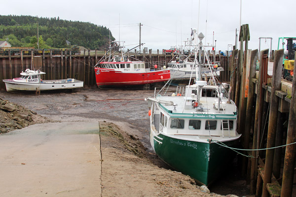 Alma's Harbor is a sad sight ... until the tide rolls in and the boats put out to sea again.