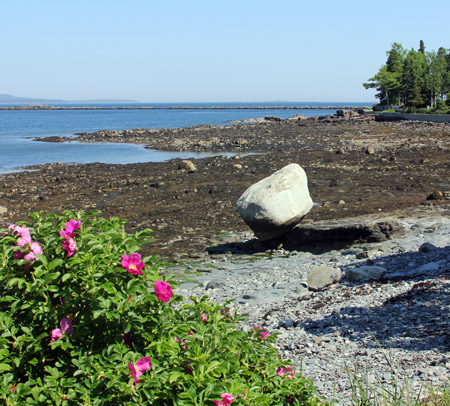 Geologists have learned that this rock at Bar Harbor, Maine, was actually carried to this resting place by a glacier from 40 mile away..