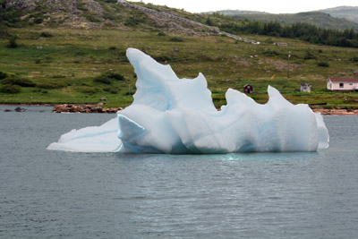 Iceberg - 3531