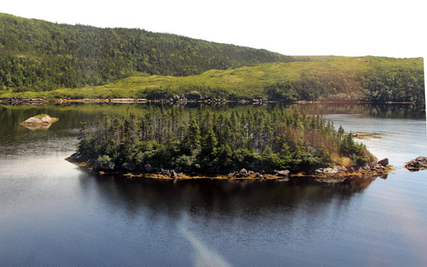 Beautiful serene countryside of Newfoundland with evergreen trees and lake