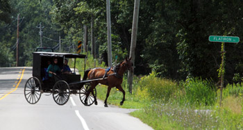 You don't see this on Interstates.  We share the road with Amish, who cling to their heritage