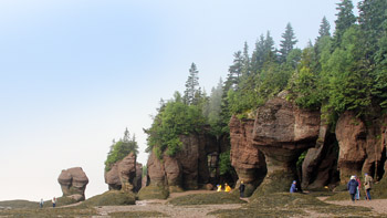 At the sea, at the sea, at the bottom of the sea =The Bay of Fundy provides a low-tide spectacle