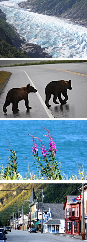 FROM TOP:  A beautiful Alaskan glacier; Bears Crossing the Road; Fireweed; Downtown Skagway