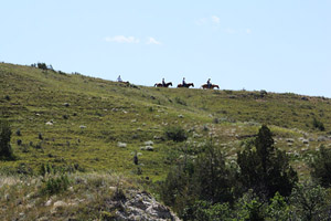 A scene in Theodore National Park, North Dakota, where cowboys roam among the herds of feral horses.