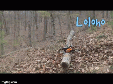 Buck that log! (Click the pic for more info on this Worx chainsaw.)