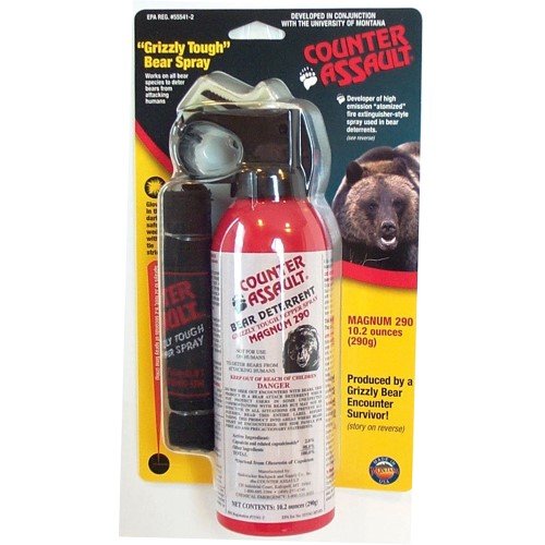 Bear spray repels grizzly bears. It's safer, less hassle, and arguably more effective then relying on a handgun (especially a small caliber handgun). Click the pic for more into.