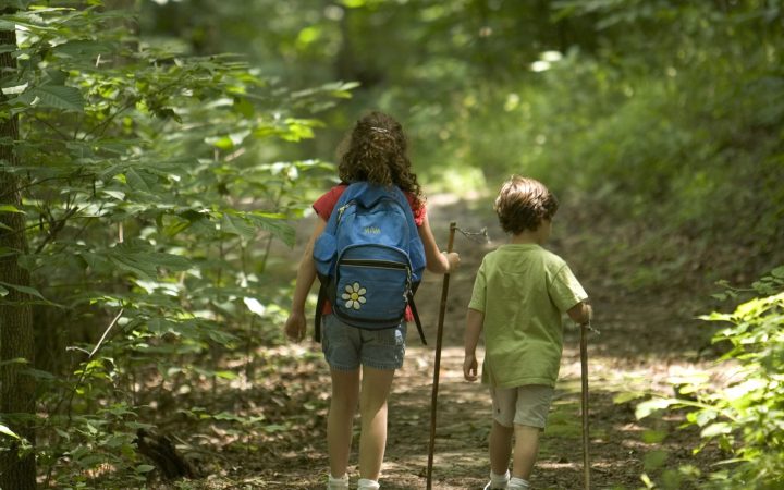 children-hiking-in-the-forest (1)