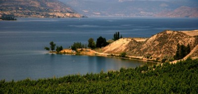 Okanagan Lake near Penticton with vineyards in the foreground © Rex Vogel, all rights reserved