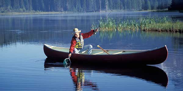 A lone canoe paddler scoops something up with his net.