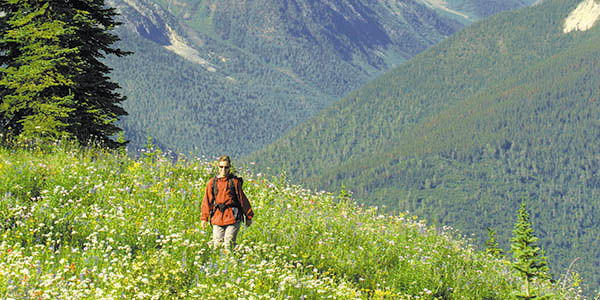 A lone hiker crosses a ridge dotted with wildflowers.
