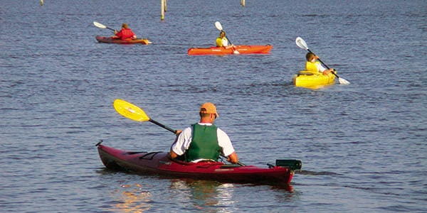 Four kayakers wearing flotation devices.