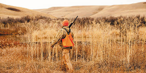 A hunter in orange vests walks into grassland.