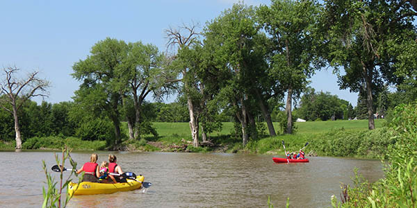 Paddlers in two-seated kayaks propel themselves down a muddy river with trees on the banks.