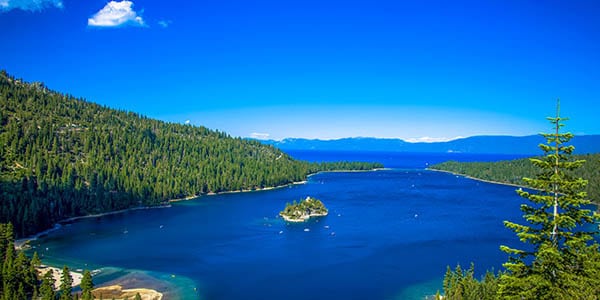 A tiny island in the middle of a cove in Lake Tahoe.