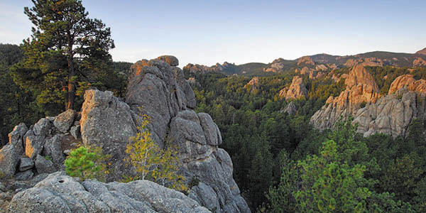 Rugged rock outcroppings surrounded by lush green trees.