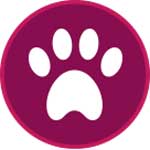 2016---Pet-Friendly-Icon