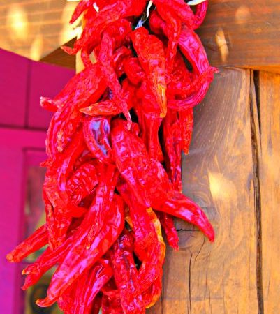 Red chiles are usually strung up to dry in the beautiful chile ristras typical to the state, then ground as needed before being cooked into sauces. © Rex Vogel, all rights reserved