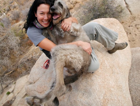 Dogs in National Parks