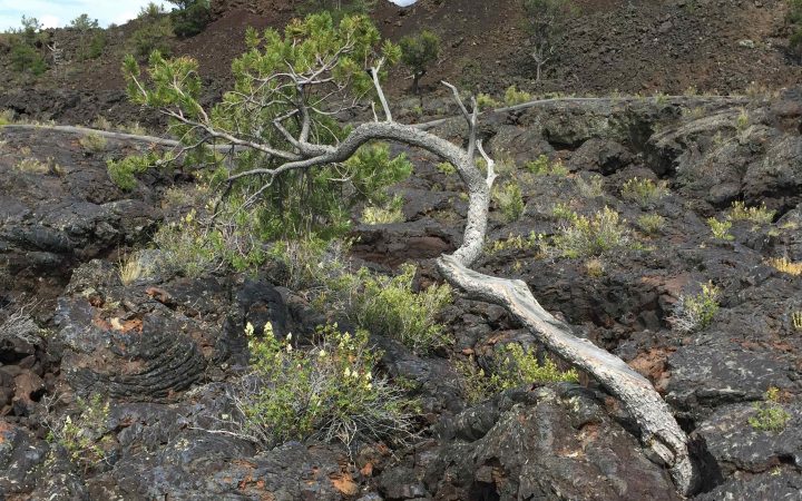 Craters of the Moon