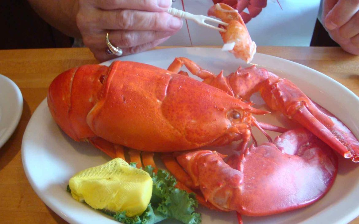 Maine Staples—Lobster and Ice Cream