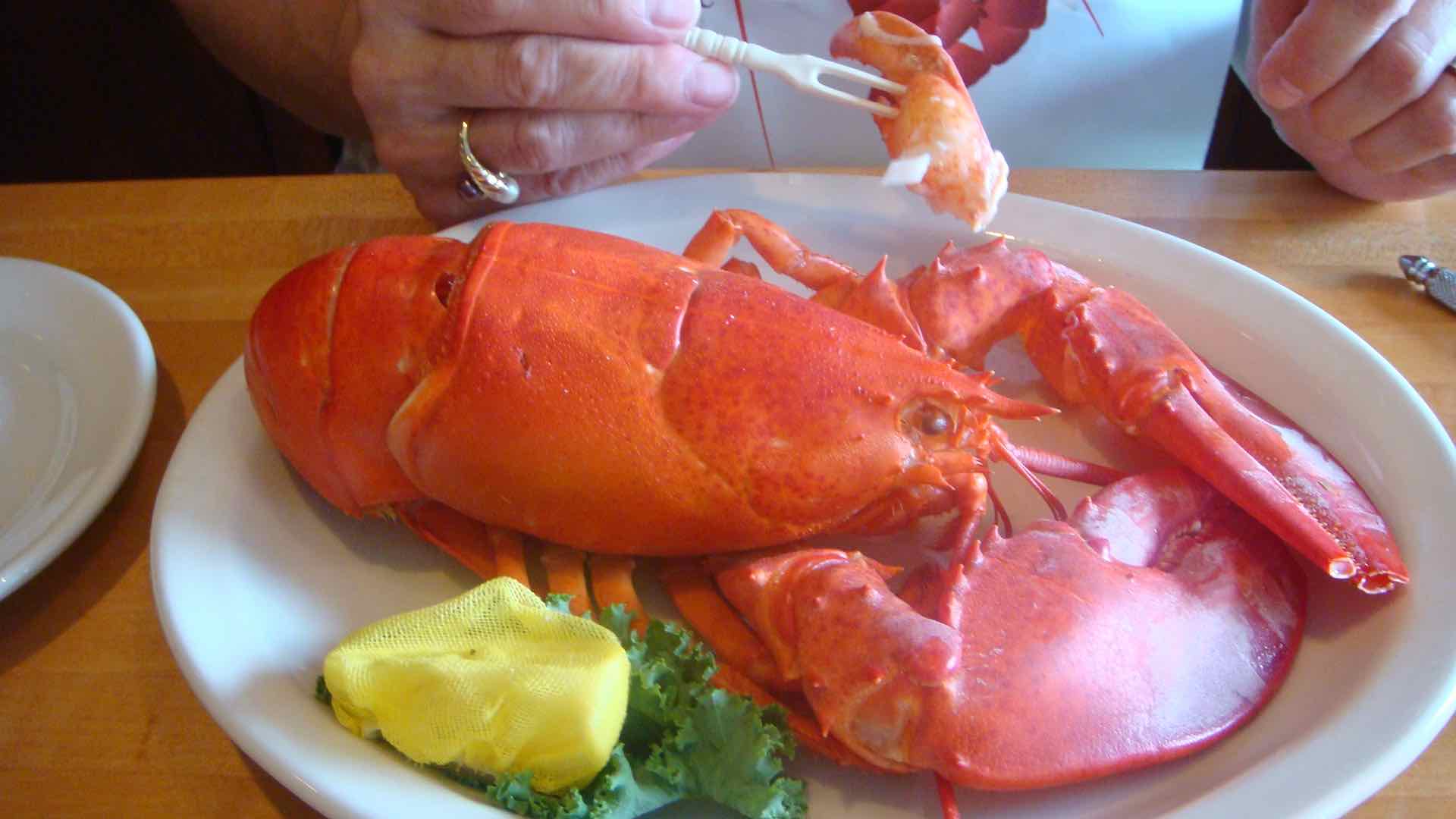 Maine Summer Staples—Lobster and Ice Cream Good Sam Camping Blog