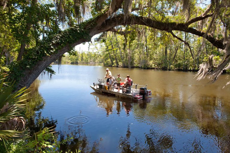 Bayou Country(ex-/ex-).