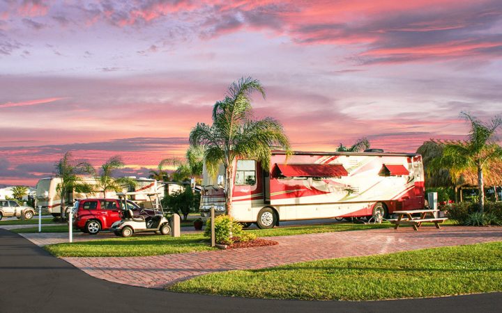 snowbirds flock to silver palms