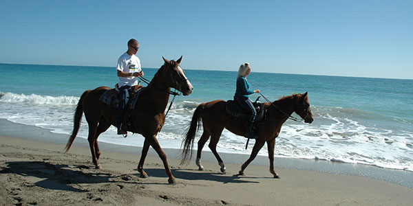 A couple goes horseback riding.