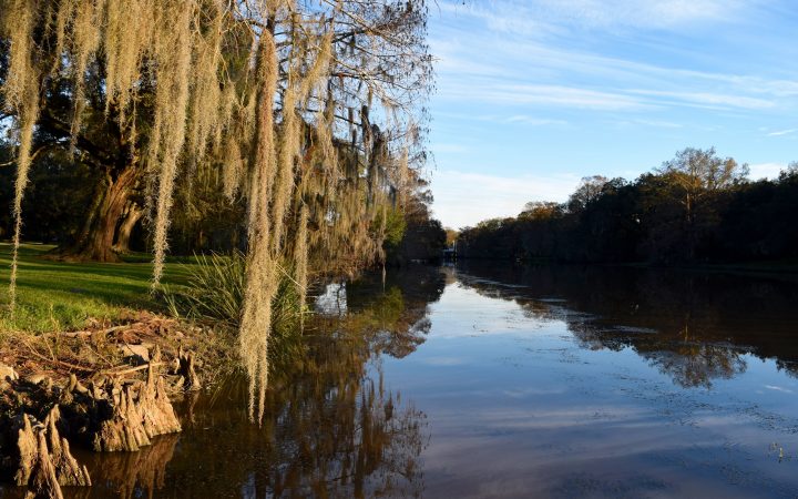 Bayou Teche, Iberia Parish, Louisiana