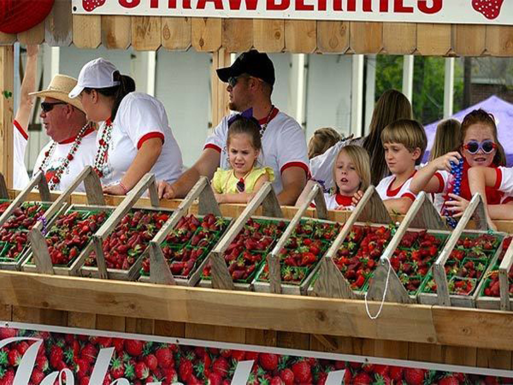 Ponchatoula Hosted Strawberry Festival Madge Ethelda