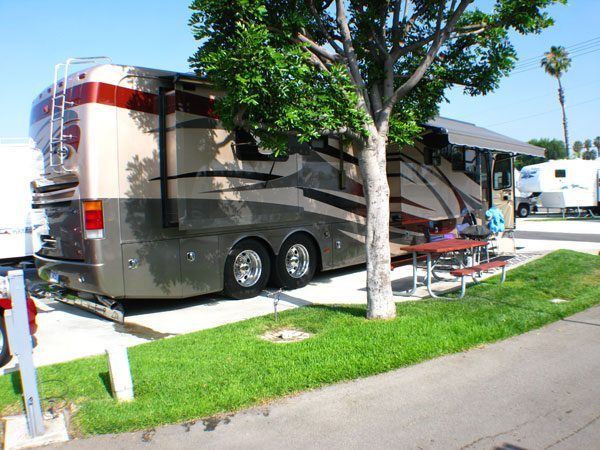 Large motorhome parked next to tree on sunny day