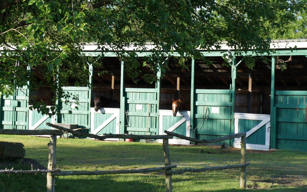 Artillery Ridge Campground & Gettysburg Horse Park - stalls