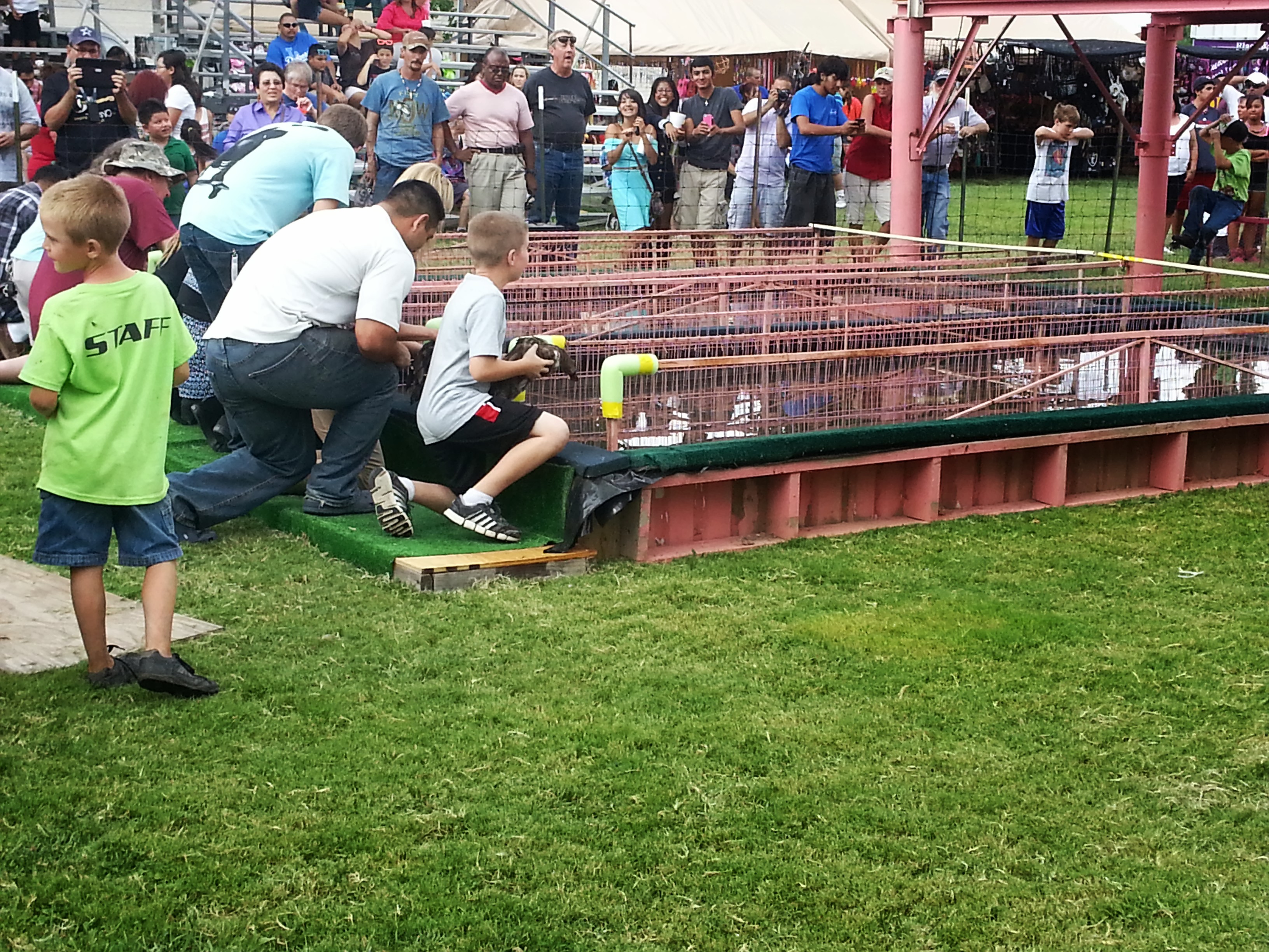 Deming Duck Races, New Mexico are just around the corner.