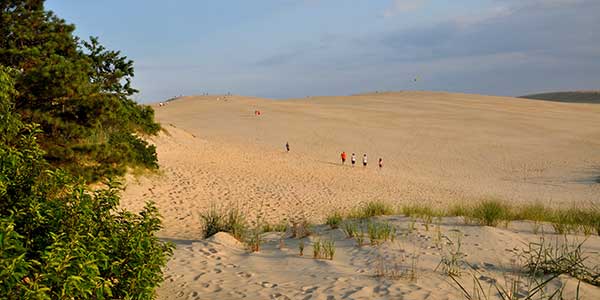 Beachcombers walk a tall dune.