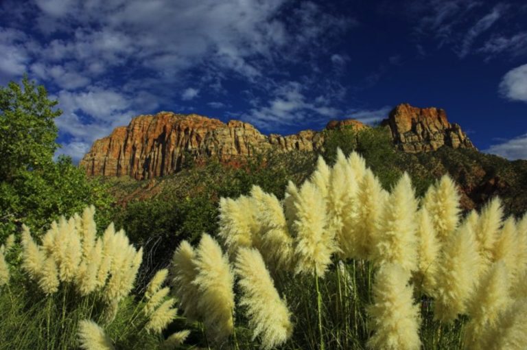 WillowWind RV Park in Hurricane, UT, is Perfect for Zion National Park