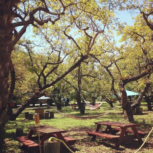 Boardwalk RV Resort - picnic tables