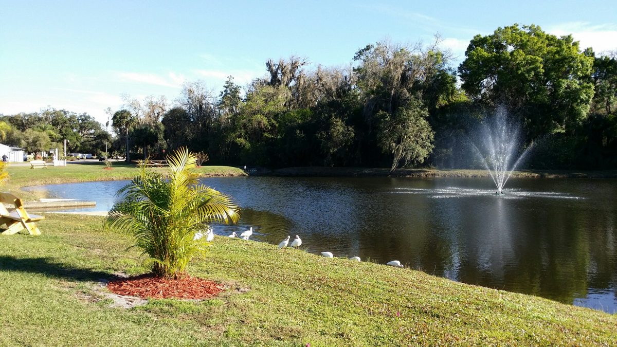 Whisper Creek RV Resort - pond