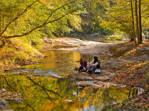 Georgia State Parks - forest and creek