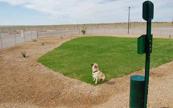 Route 66 RV Resort - dog park