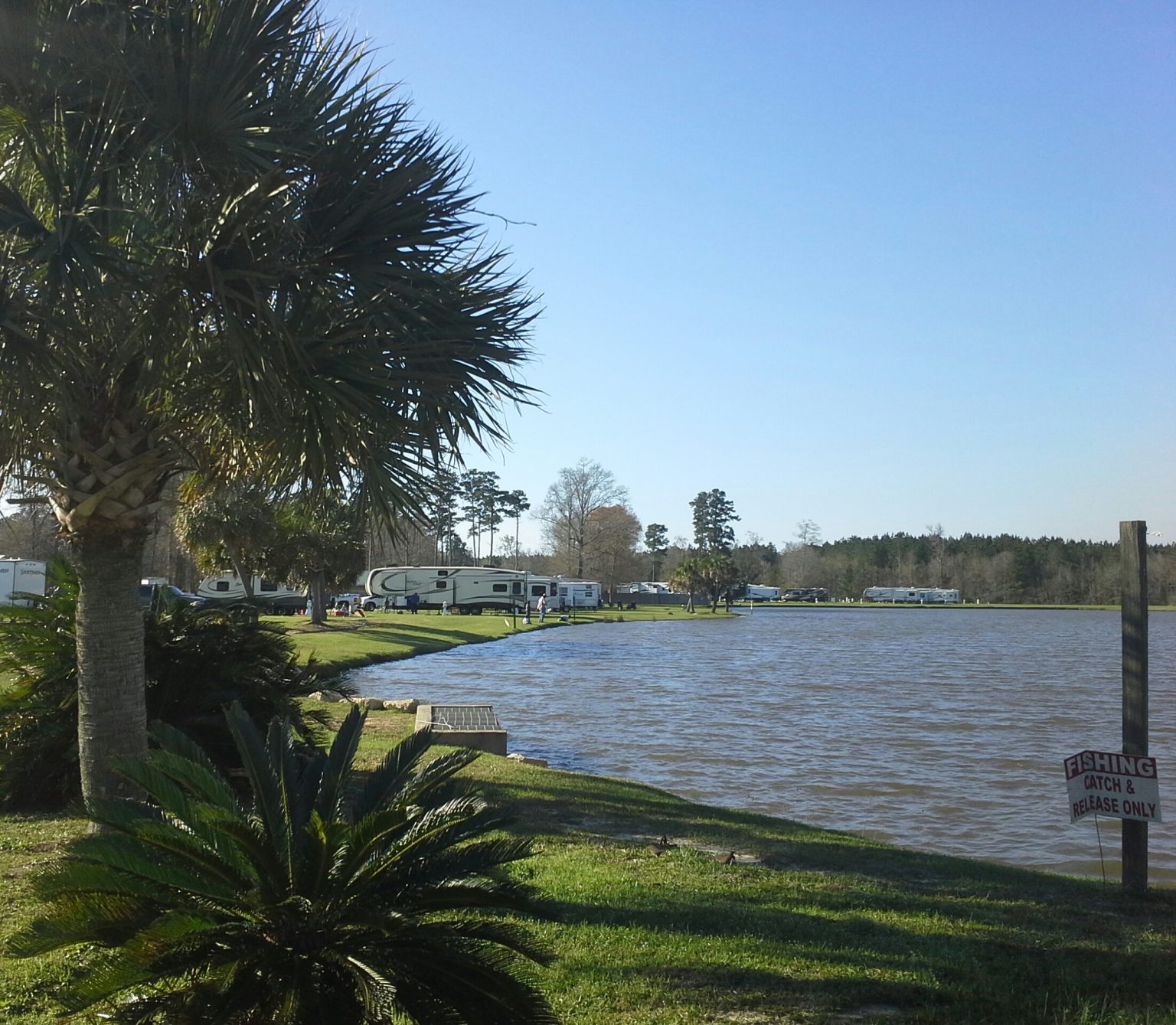 Stay at kidfriendly Natalbany Creek RV Park & Campground