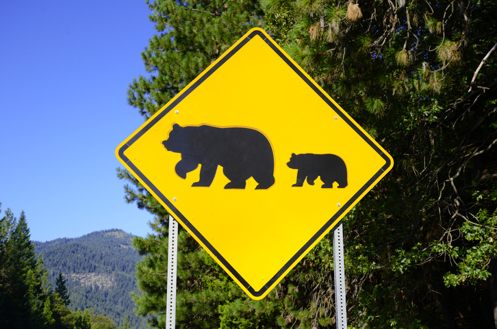 Bear crossing sign on the road