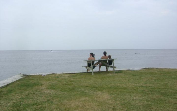 Frisco Woods Campground - family watching the water sports., Pamlico Sound on the Cape Hatteras National Seashore