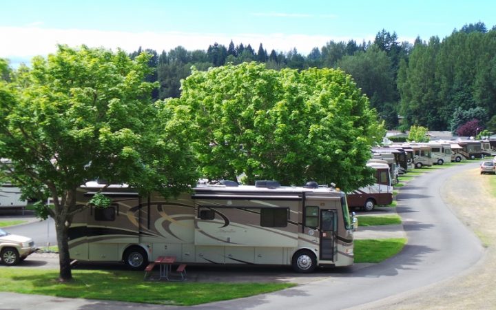 Brookhollow RV Park - RV sites