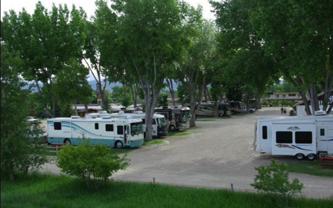 RV park with several motorhomes parked with green bushy trees surrounding