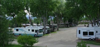 RV park with several motorhomes parked with green bushy trees surrounding