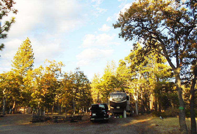 rv camping cuisine