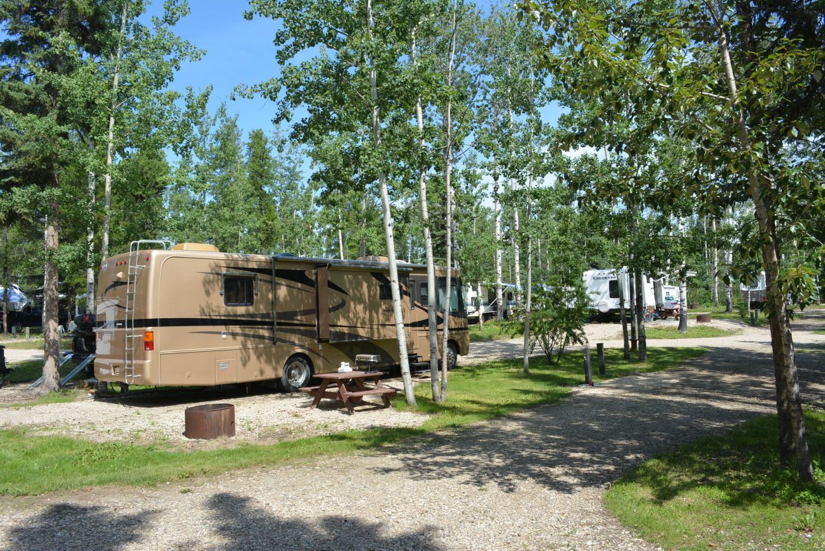 Camp Tamarack RV Park - rv site among trees