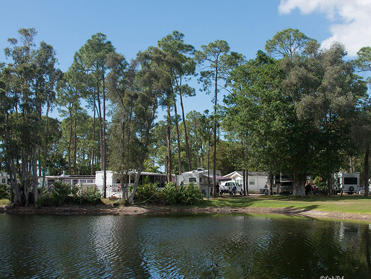 A view of a campground across a pond.