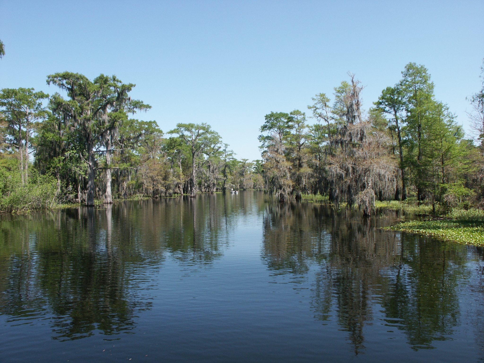 Explore the Cajun Coast’s Water Heritage